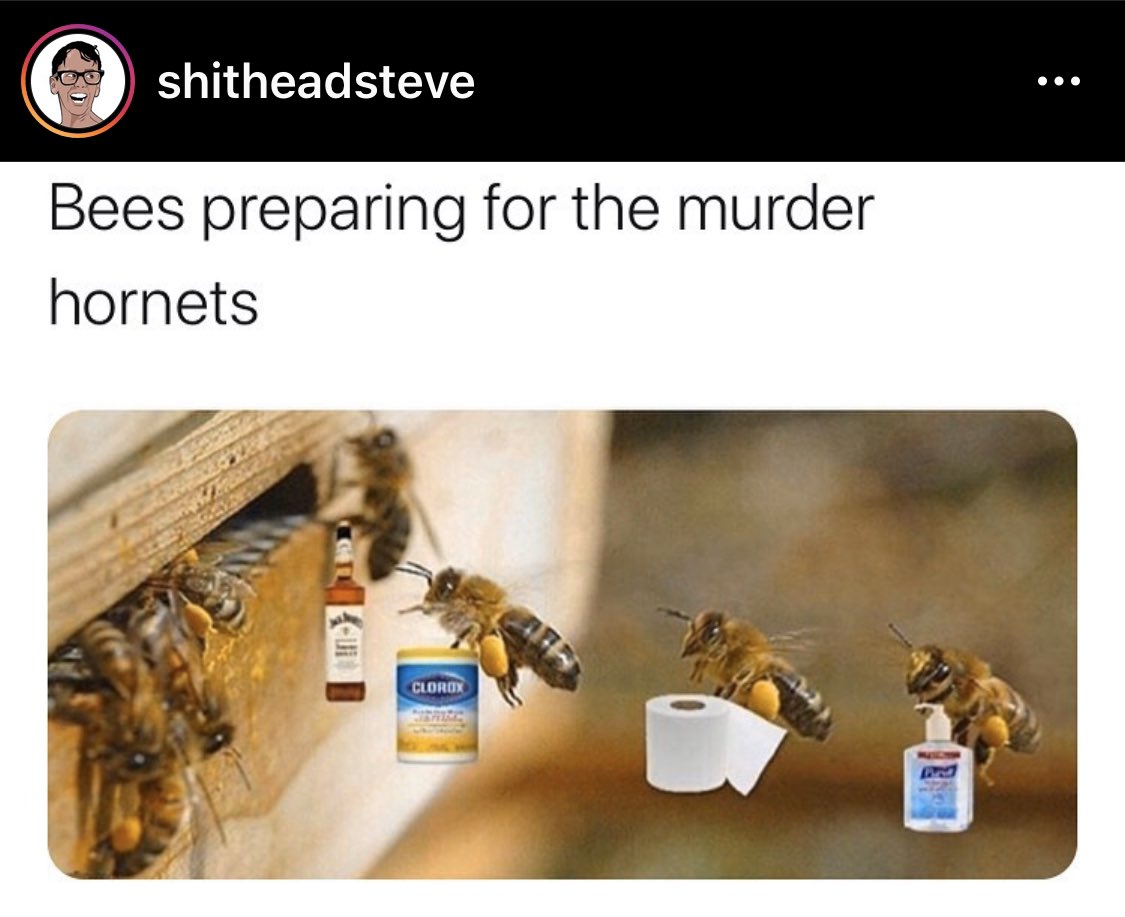 Look at them. All in this together. 💗