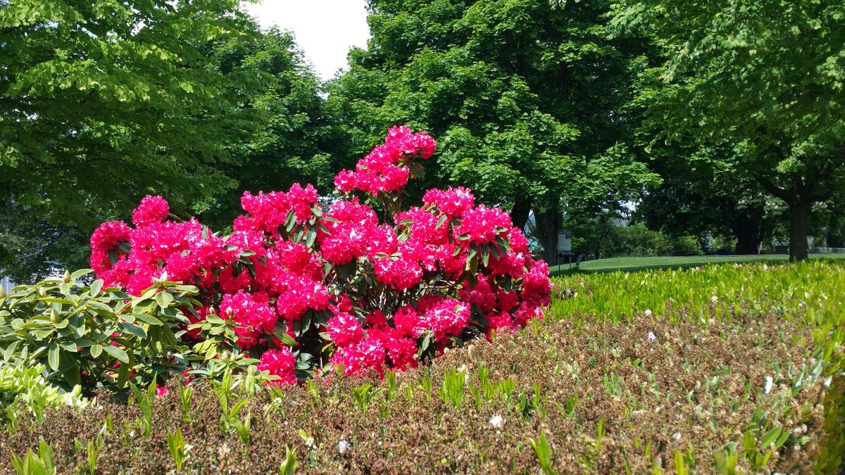 Today.... still blooming.
Find your space.