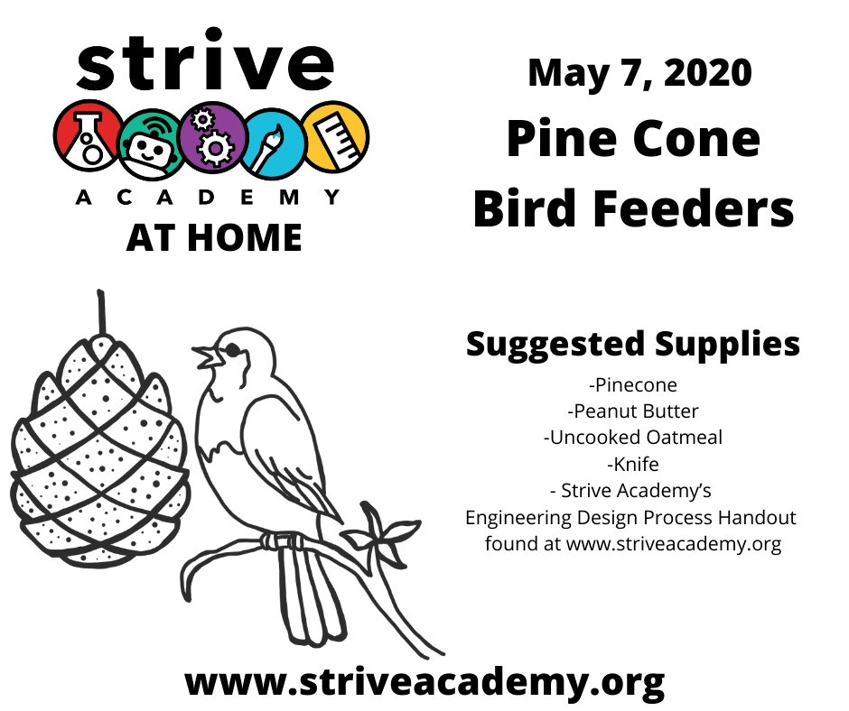 Strive Academy tweet media