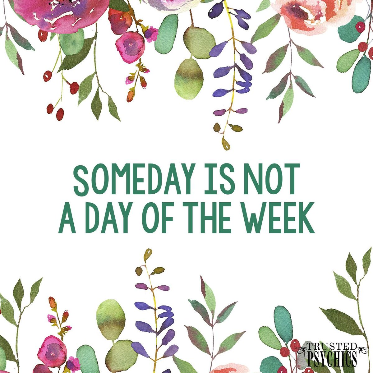TrustedOz's tweet photo. Make it happen today! 💖☀️

#trustedpsychics #psychics #someday #today #makeithappen #makeuseofyourtime #youhavethepower #todayistheday #youarestrong https://t.co/FGzlwbnVDt