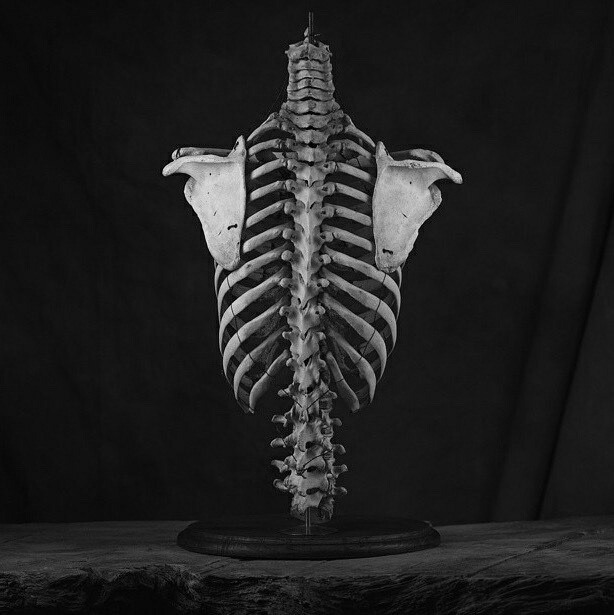 Archillect (@archillect) on Twitter photo 