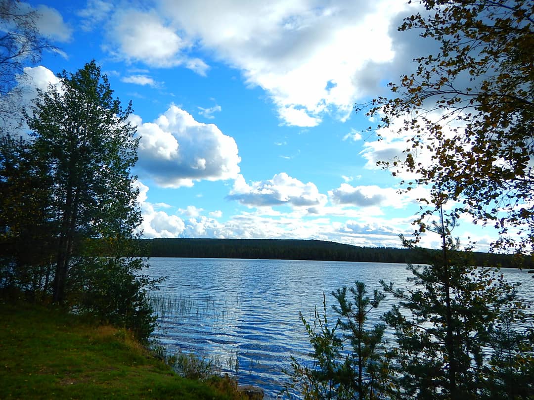 ikuo800's tweet image. また描きました✨

#Finland #NordicCountries #Europe #nature #picture #coloredpencils