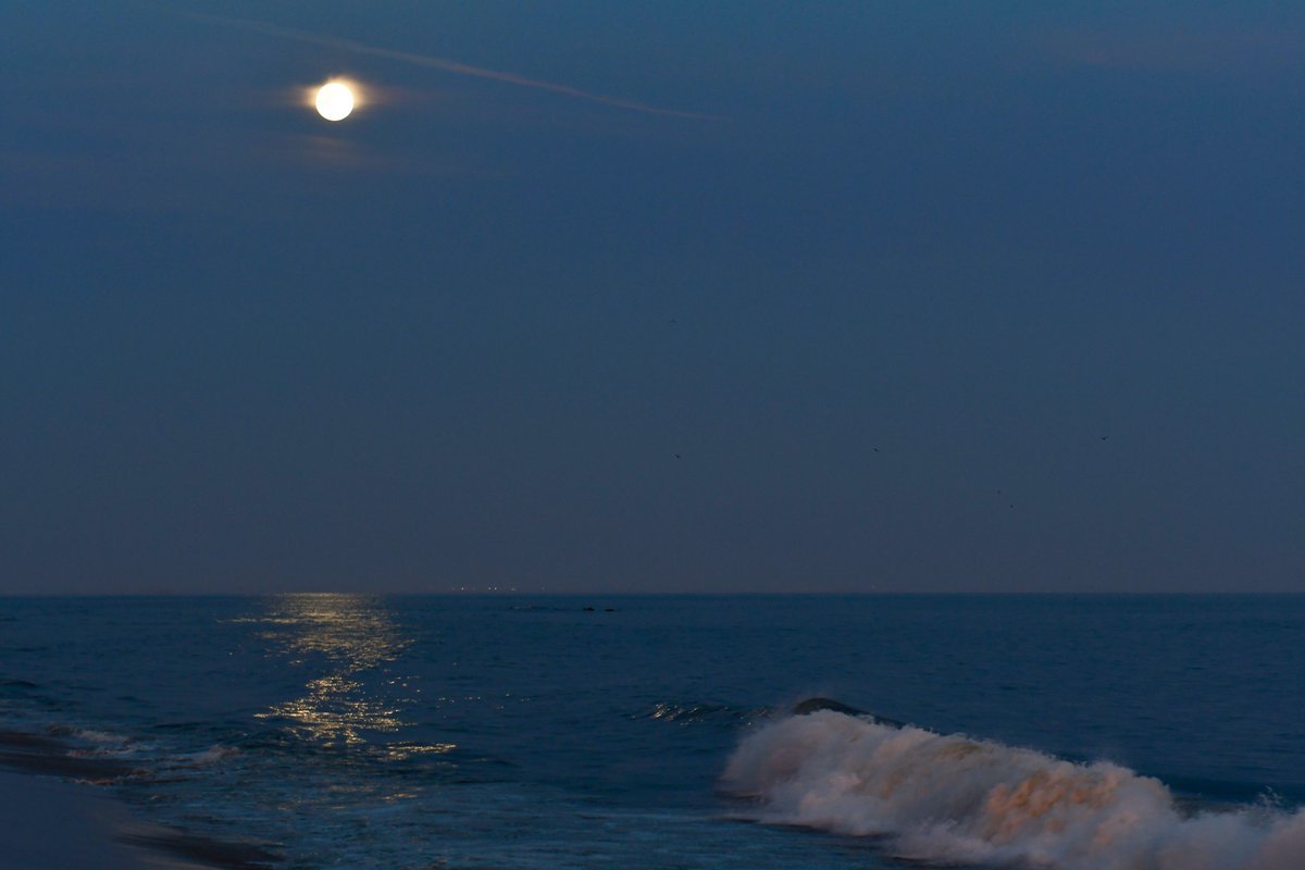 JulieEllerton's tweet photo. Flower Moon

There's no place like home.

#mydayinla #lowerpower #supermoon #supermoon2020 #FlowerMoon #rosesmoon #heavenbound #theresnoplacelikehome #theskysthelimit #fullmoon #sunset #colortherapy #spreadlove #peace #healingvibes #moonshine #malibu https://t.co/7RQW25N7Fr