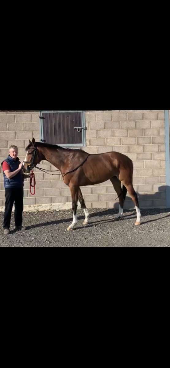 Shares left in “Forever Des Long”

Shares left in “Rookie Trainer”

Get in touch with <a href="/ndfehily/">noel.fehily</a> 👇👇👇

        Noel@noelfehilyracing.com