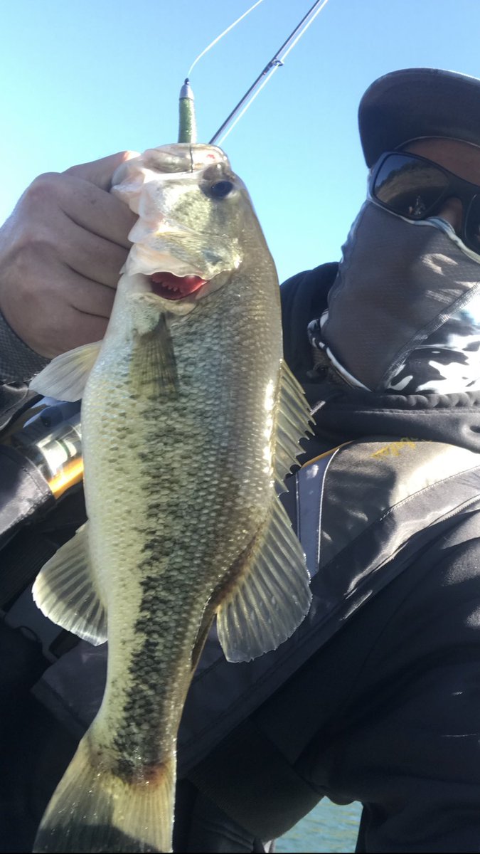 ChokeBait's tweet photo. They still choking on that @Chokebait Green Pumkin Red Flake Sen-KO's! Never fished @lakedonpedro on a boat so this is the first for me bringing one on the boat! Geer used @DobynsRods Extreme 703sf, @HukGear Buff and hat, @oakley shades, @UnderArmour fishing jersey, @Cabelas PFD https://t.co/lAUdjcGXLY