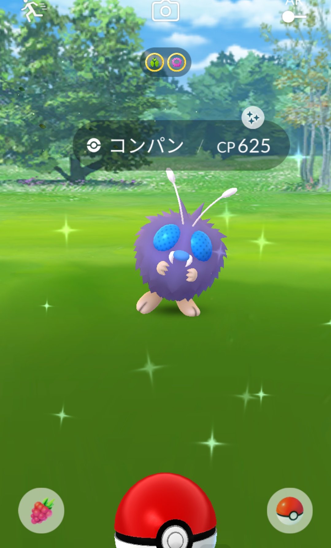 P Chan ポケモンgo やっと来てくれた いらっしゃ い スクショきらきらのタイミングが 朝から旬の子get でいい日になりそぅ ポケモンgo コンパン 色違い T Co 6om2zlnirp Twitter