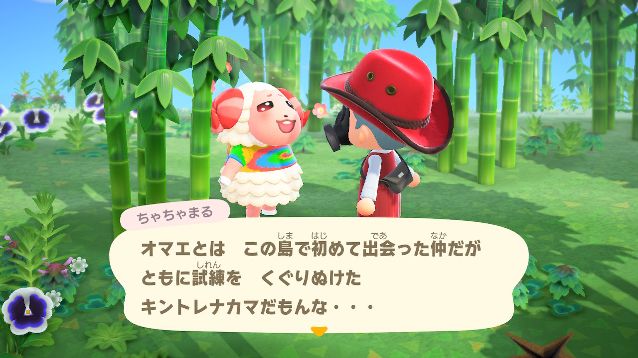 アクアホッパー メスみたいな顔しやがって どうぶつの森 Animalcrossing Acnh Nintendoswitch