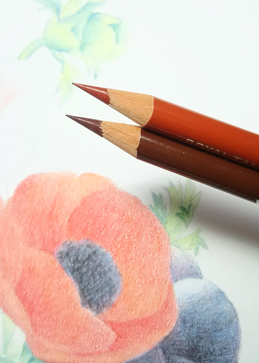 サクラクレパス認定 大人の塗り絵 講師が教える 塗り絵のコツ