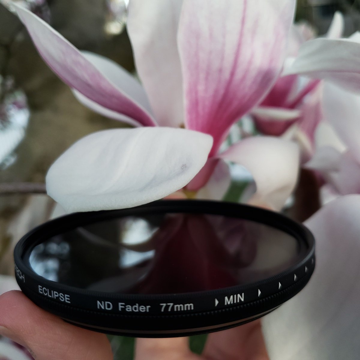 genus_products's tweet photo. Genustech Eclipse Filter #genus #genustech #outdoorphotography #filter #filters #filmcamera #camera #polarizer #nd #photography #filmgeeking #filmschool #photooftheday #fashionphotography #outdoorphotomag  #picoftheday #photography #streetphotography https://t.co/H9wE0XrAzd