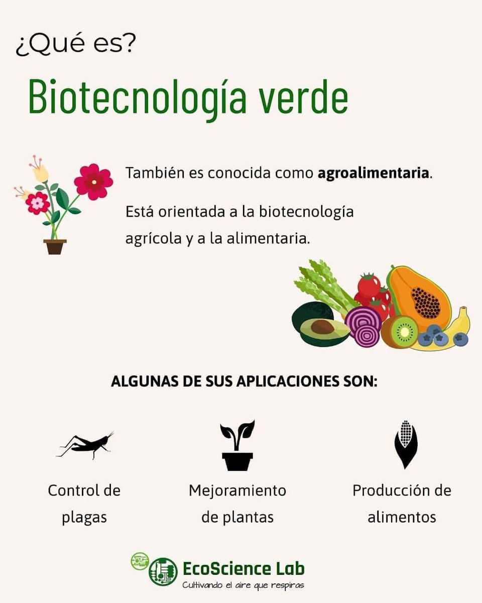 EcoScience_Lab's tweet photo. ¡Conoce una de las principales categorias de la biotecnología por colores!
#calidaddelaire #león #gto #guanajuato #biotecnologia #contaminación #startup #startupmex #ipn #medioambiente #bioclimatico #mentefactura #ecosciencelab #esl#agricultura#verde#biotecnologiaverde https://t.co/yL0R5SV43B