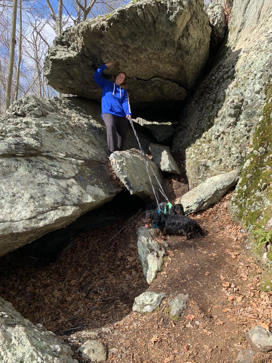 BeckyChez's tweet photo. Great day for a nice hike in the woods with my puppies for #WalkToSchoolDay! #stayactive #virtualwalkma @SilviaFUTP60FR https://t.co/raMZk57XzB