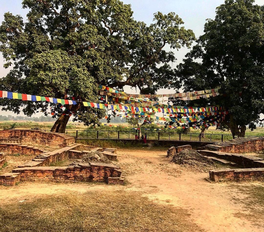 ExcerptsNepal's tweet photo. (2/4) old age of 29 (gasp!), after observing the "Four Sights", #Siddhartha walked out of his home in the dead of the night and left his palace gates.

Pictured is where the palace grounds in #Tilaurakot, the capital of #Kapilavastu once stood and the life-altering "Eastern Gate" https://t.co/Yu089qaRrN