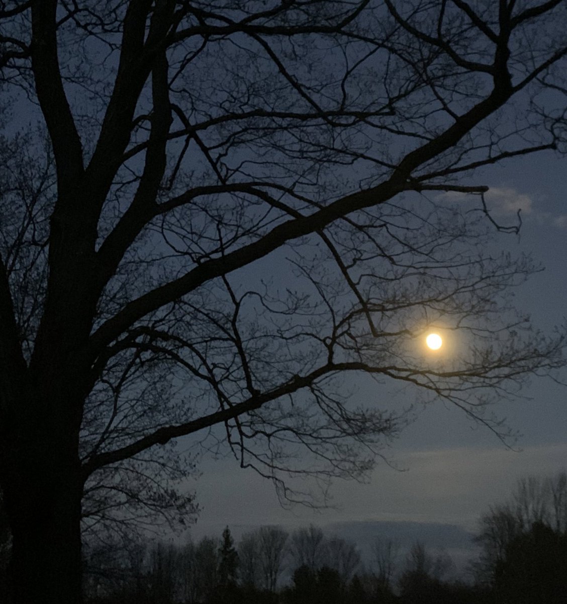 VSchock's tweet photo. Almost missed this beautiful full moon without the usual classroom cues this week π #missingthosekiddos #fullmoon #ocsbKinder https://t.co/UK27SJwWqZ