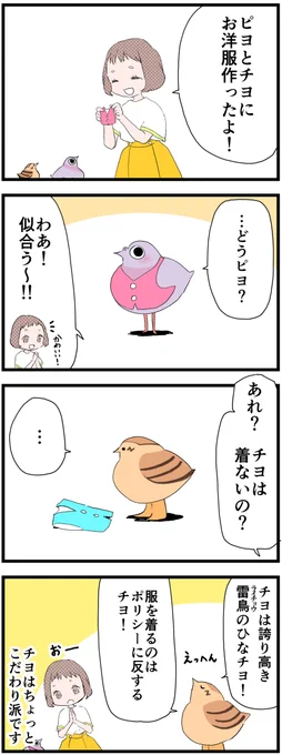 今日のピヨとチヨ