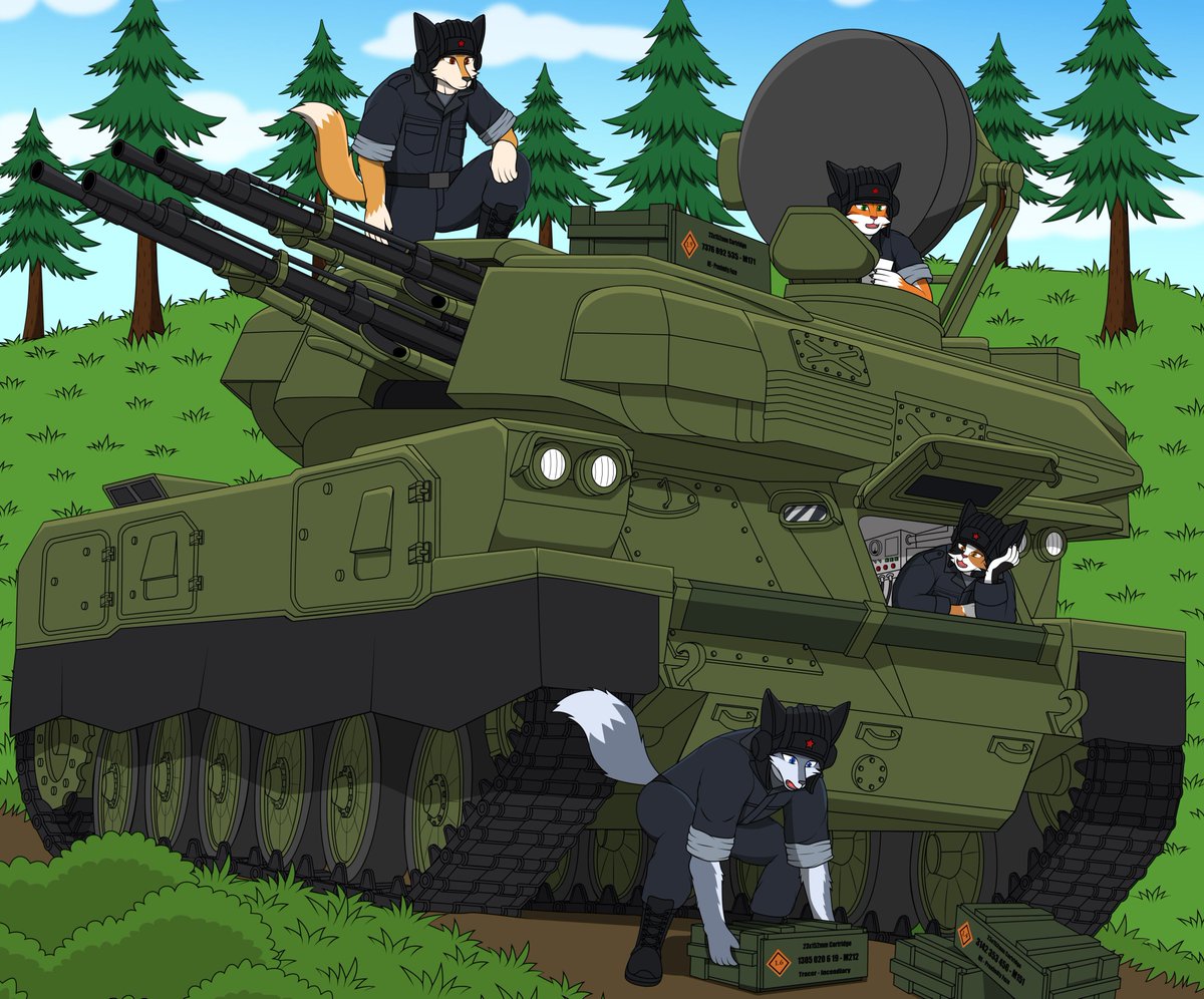 Furry military. Фурри милитари. Фурри армия. Фурри война. Фурри Донбасс
