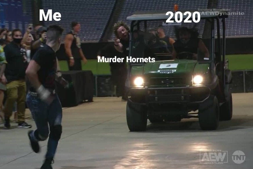 OmarMets's tweet photo. #AEW #AEWDynamite #WrestlingMeme @sammyguevara  @KennyOmegamanX #KillerHornet #2020 @IAmJericho https://t.co/r54rDTN7YO
