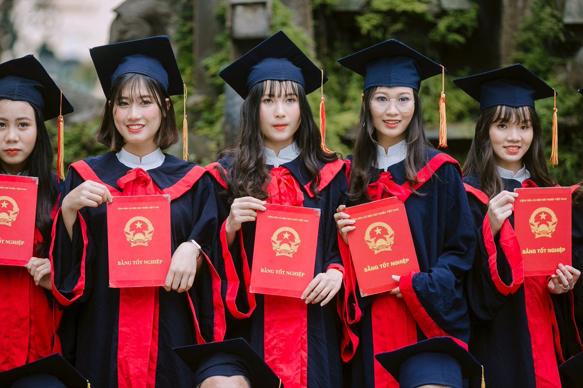 Linh Nguyên tweet media