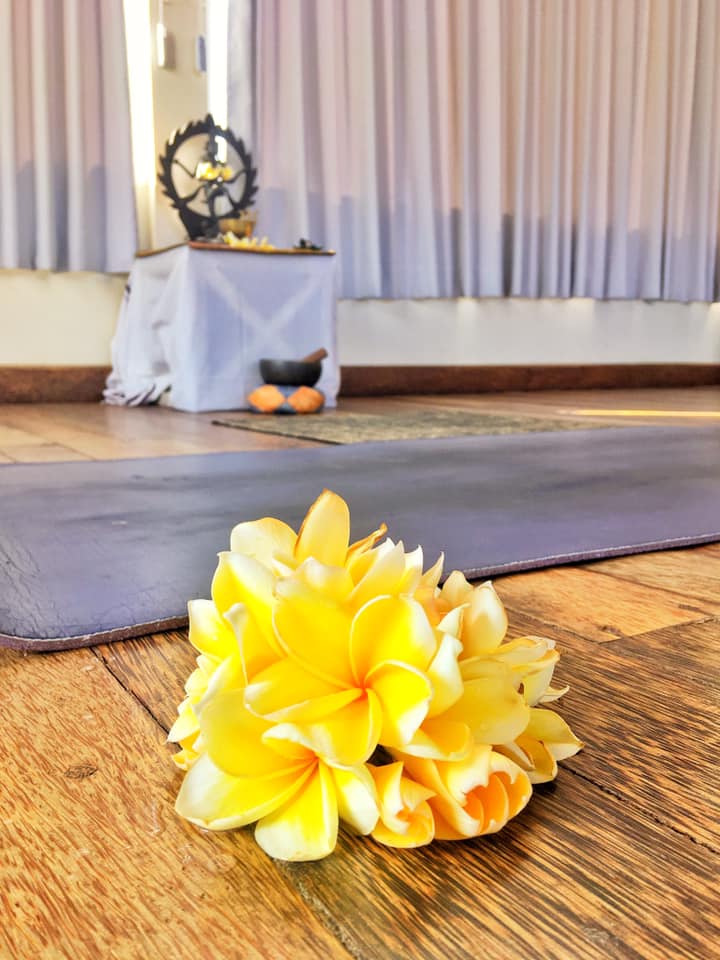 theshalabali's tweet photo. Thank you for join and sharing your love of yoga asana today 🧘‍♀️🙏💙🌺

join again tomorrow for Morning Gentle Vinyasa Yoga

9 am bali time ( +8 GMT ) until May 19, 2020

Join Zoom Meeting
https://t.co/GAUnqUC4ki…

Meeting ID: 521 049 7866
Password: 6VdaV5

Lets Flow with us https://t.co/1UsHLuAd9w