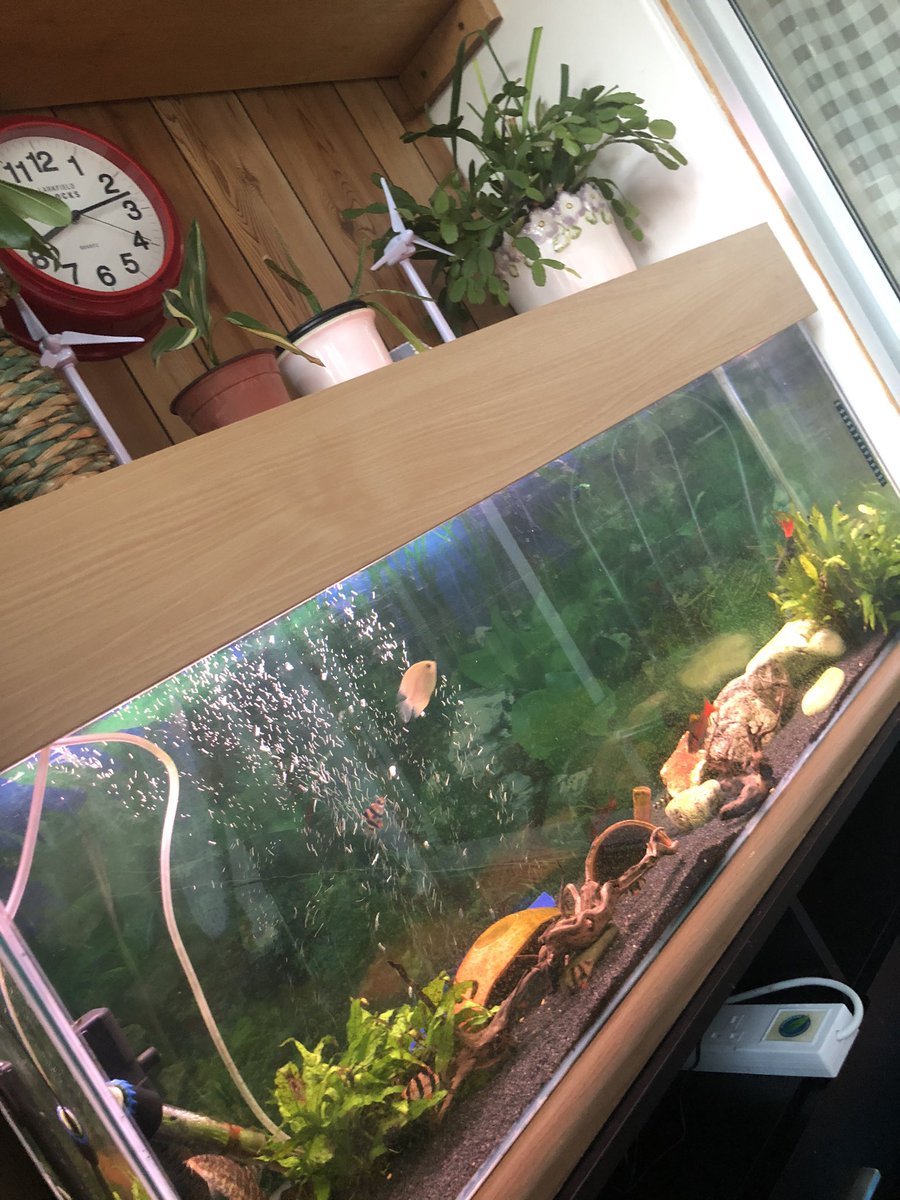 AquaKnowledge tweet picture