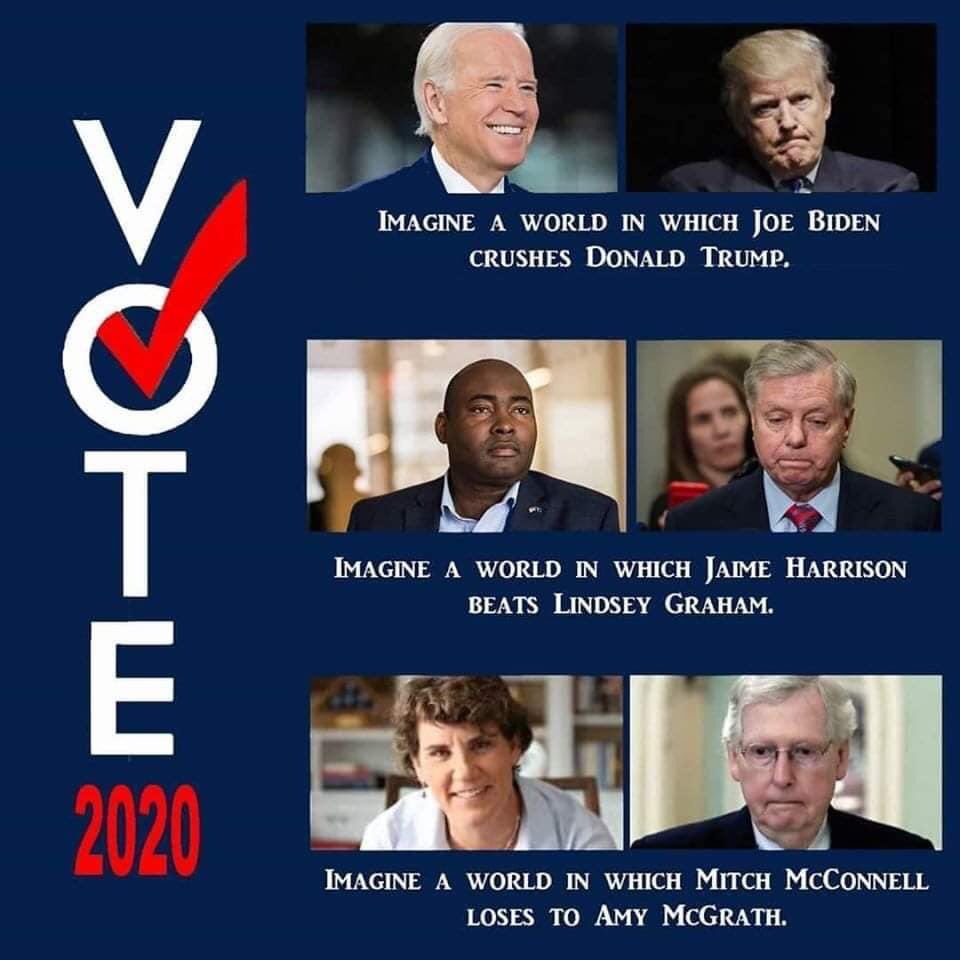 IndivisibleFlag's tweet image. #ImagineTheWorld #imagineaworldwithmore Democrats #AdjournTrump #VoteBlueToEndThisNightmare #BlueTsunami2020