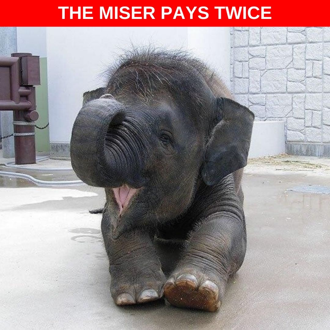 Infiniteprofit2's tweet photo. ๐THE MISER PAYS TWICE๐
FREE Book
https://t.co/XMR22Eoms1
Grow Your Business Fast And Efficient
#InfiniteProfit #InfinityOfProfit #MarketingStrategy #BusinessConsulting #MarketingManager #NamingMarketing #Marketing #iProfit #HowToGrowBusiness #GrowBusiness #SchoolOfMarketing https://t.co/Wpyew2kObV