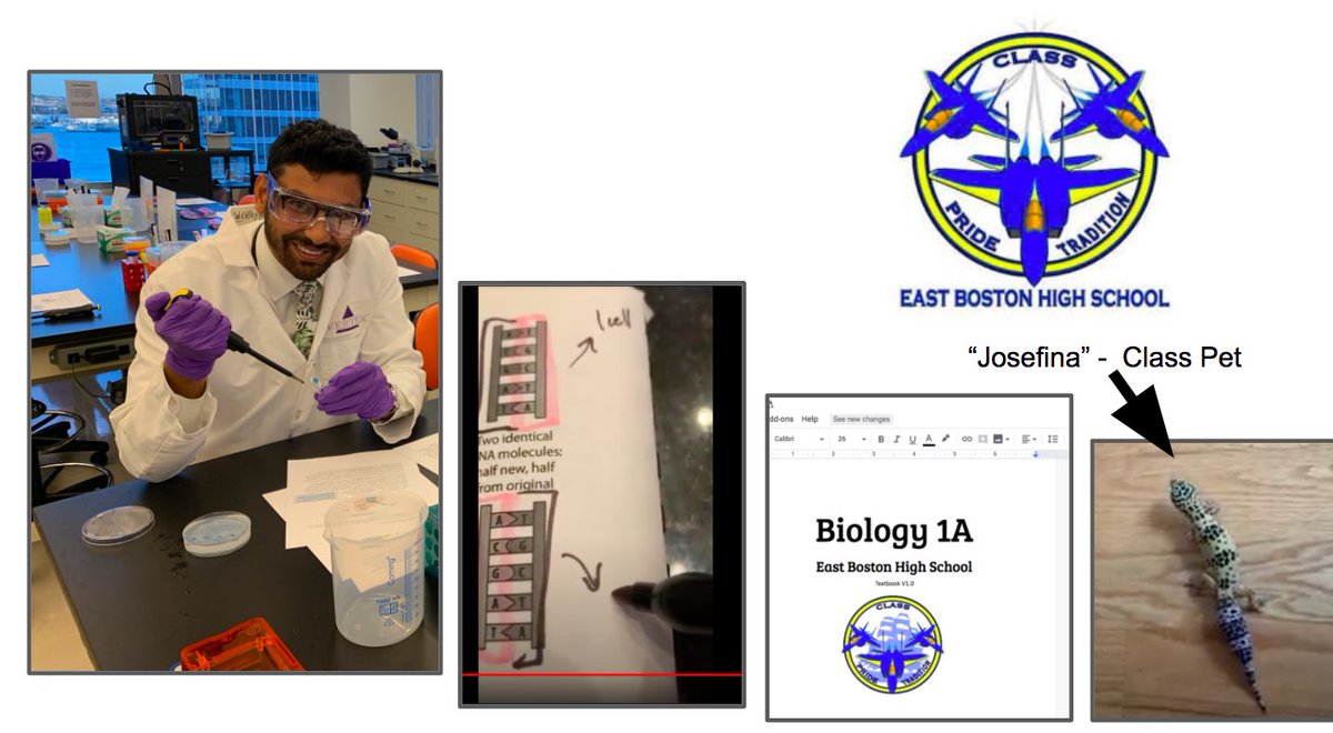 <a href="/mr_faizEBHS/">Mr. Faiz</a> is always hard at work for <a href="/ebjets/">East Boston High</a> students whether he is creating an SEI Bio text or online videos, working in the food pantry or simply reassuring his students that Josefina is okay! Thank you, Mr. Faiz!💫✈️💙💛✨#TeacherAppreciationWeek