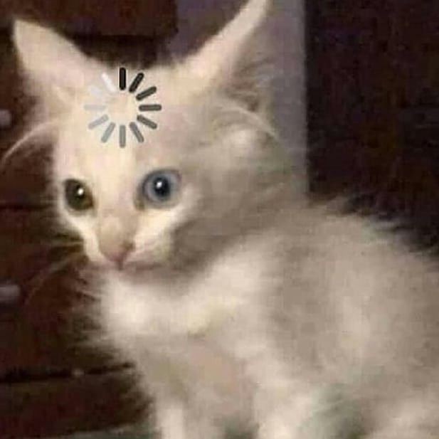 MemesDeGato1's tweet photo. Minha mãe tentando me ensinar como se usa a máquina de lavar : a

Eu : https://t.co/HEeEWyckw7