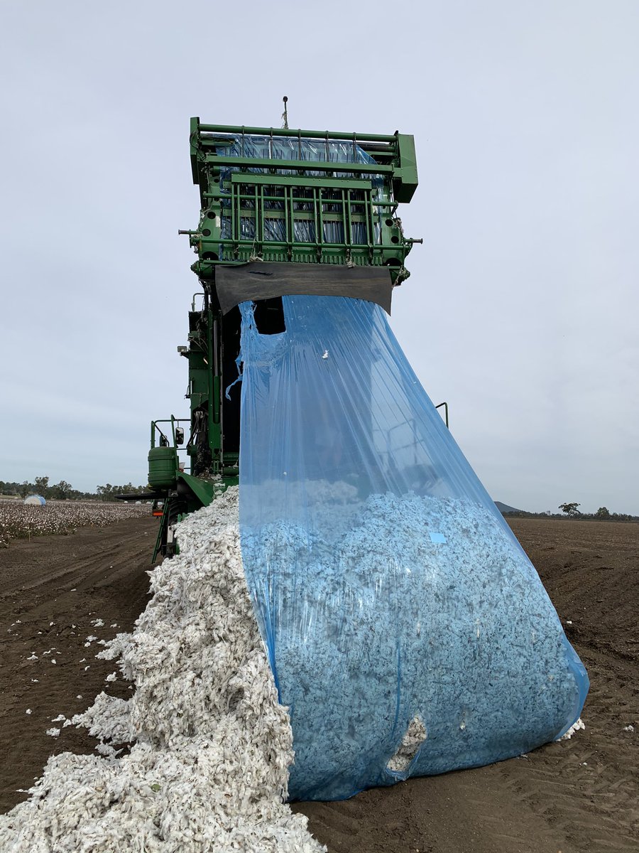 Andrew Watson tweet media