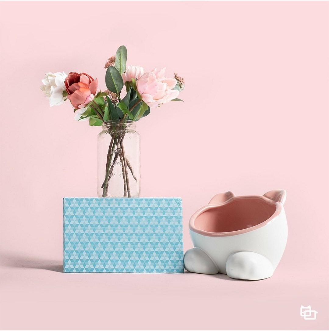FurryFriendGear's tweet photo. RT https://t.co/7zgUs2nCqE #vivipet #catsupplies #catbowl #kittybowl #vivipetofficial #petsupplies #losangeles #productphotographer #productphotography #freelancephotographer https://t.co/tDy0QjyYTw