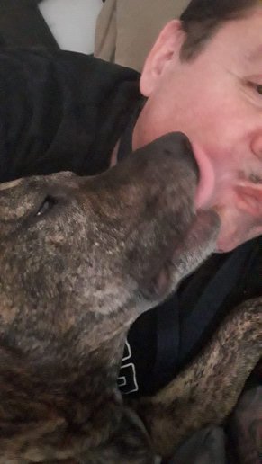 leechimerch's tweet image. 