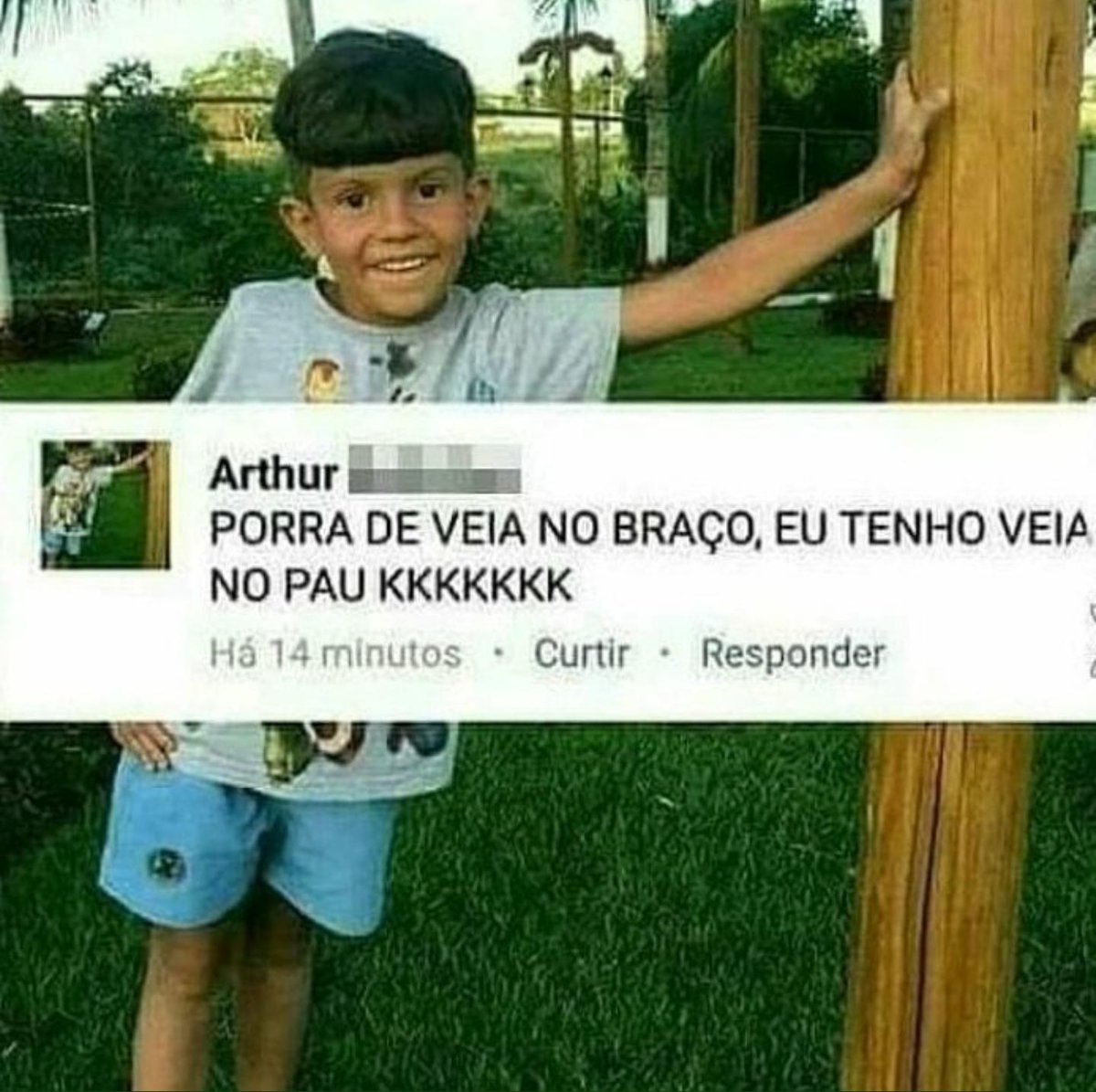 Moreira Gado tweet media