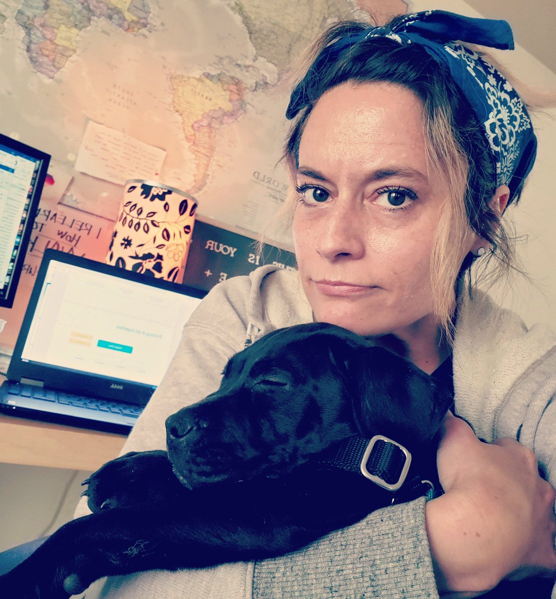 lorel1979's tweet photo. .@Chewy It took my 12 week-old pittie mix pup ONE WEEK to figure out he could climb the couch to get to the kitchen counter. 😐 Good thing I have lots of chewy boxes right now. #temporarysolution #hescrafty #imintrouble #helooksinnocent https://t.co/mSbIx8xnmi