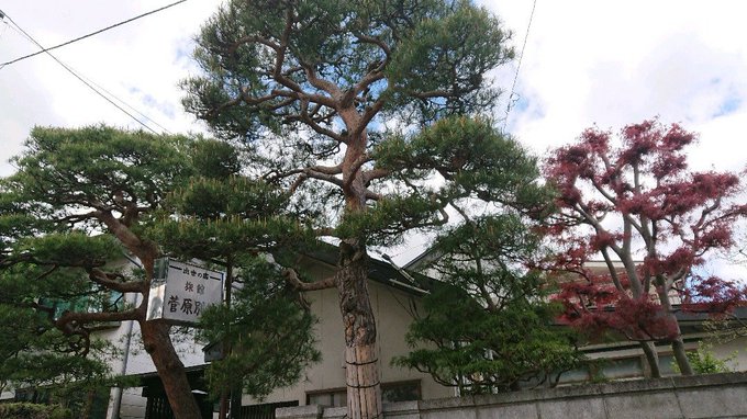 旅館菅原別館 盛岡市 のクチコミ A 盛岡市の宿 岩手県