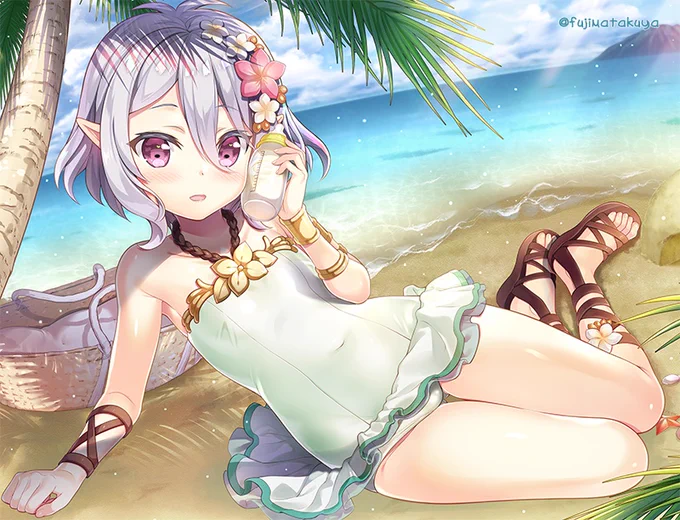 お昼になったので改めて水着コッコロ(*'ω`*) 
