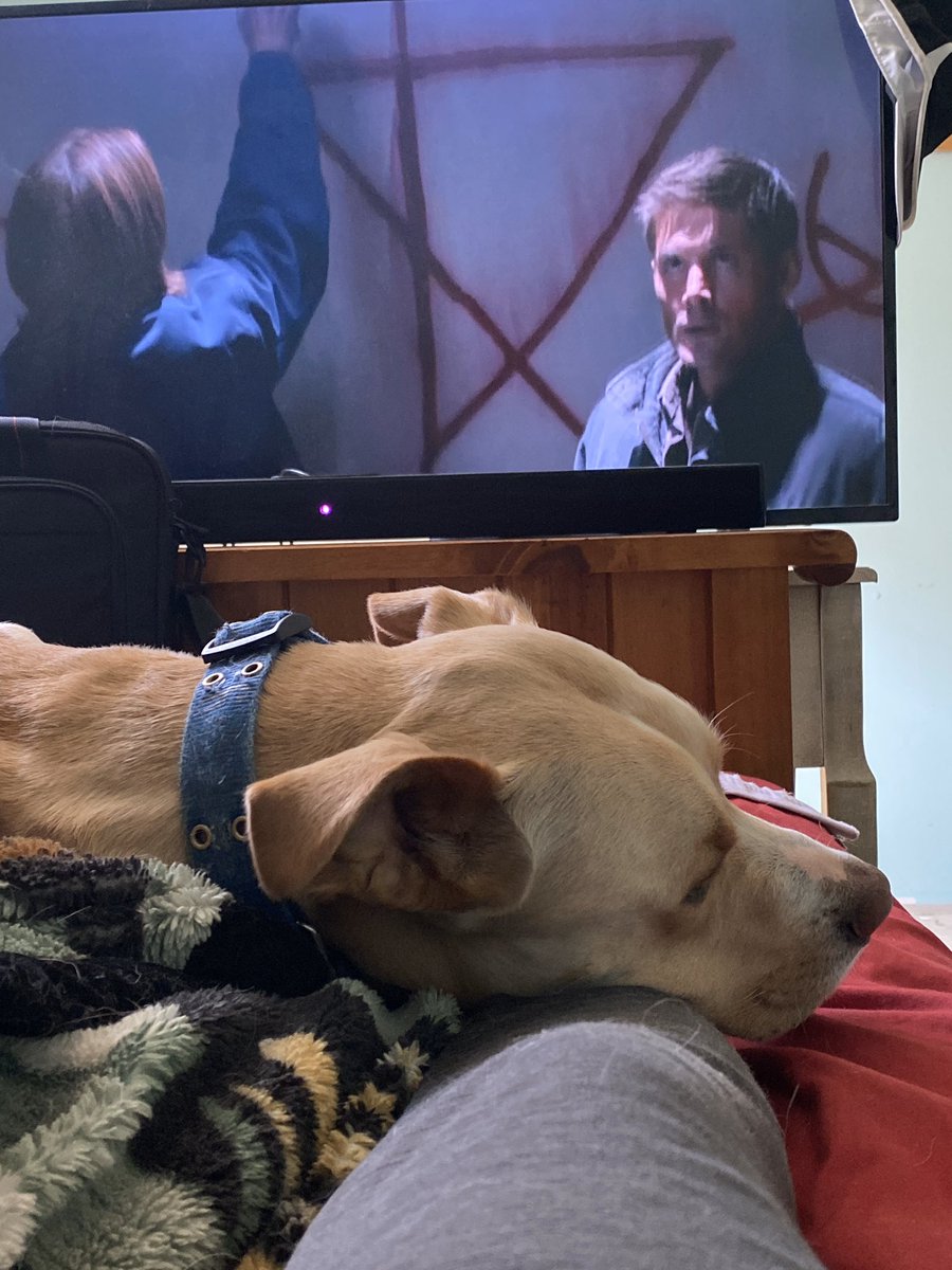 Kendal Cowgill tweet media