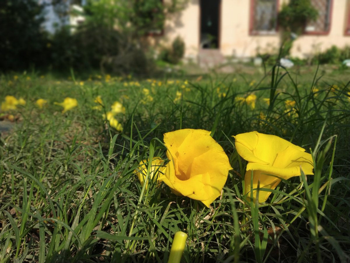 tanayrajput's tweet photo. 🙇🌄🏜️🏞️🧡#Nature is never depressed. The time of this #lockdown has become more intense.
#StayHomeSaveLives
#NatureisBalancing https://t.co/UjGLR5mlBP