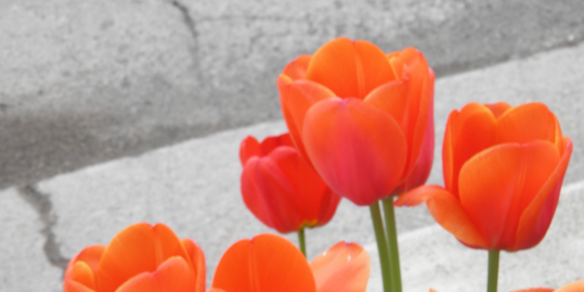 helga3's tweet image. senseless_beauty