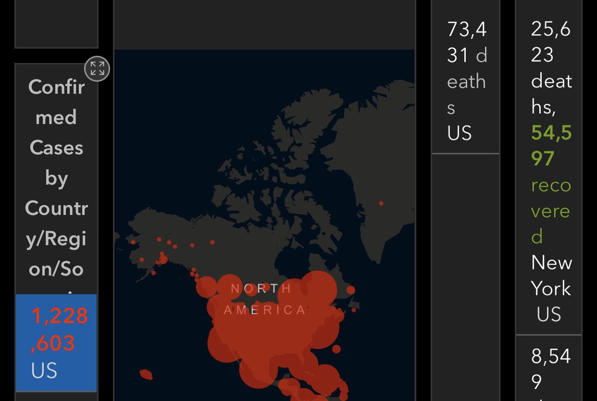 NadelParis's tweet photo. @BritForever1 @MikeBloomberg 73,431 death. Down in #StayHome States. Sick need isolated from their families, from all contacts. #contacttesting. #nursinghomes #meatpacking #asymptomatic etc/Put in separate lodging. Re-open in most States? Cases will spike up, ICU  overwhelmed. Millions will die. #SARS_COV_2 https://t.co/CCjWXQjeH9