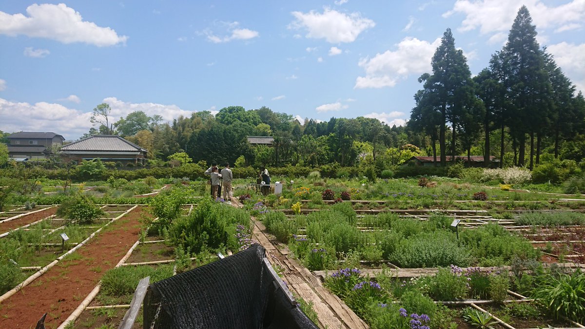 佐倉ハーブ園 薬用植物園 撮影ナウ 只今 面白い動画を撮影中です 千葉 佐倉市 ハーブ園 佐倉ハーブ園 ハーブ 寄せ植え 佐倉ハーブ園 薬用植物園 撮影ナウ 只今 面白い動画を撮影中です 千葉 佐倉市 ハーブ園 佐倉ハーブ園 ハーブ 寄せ植え