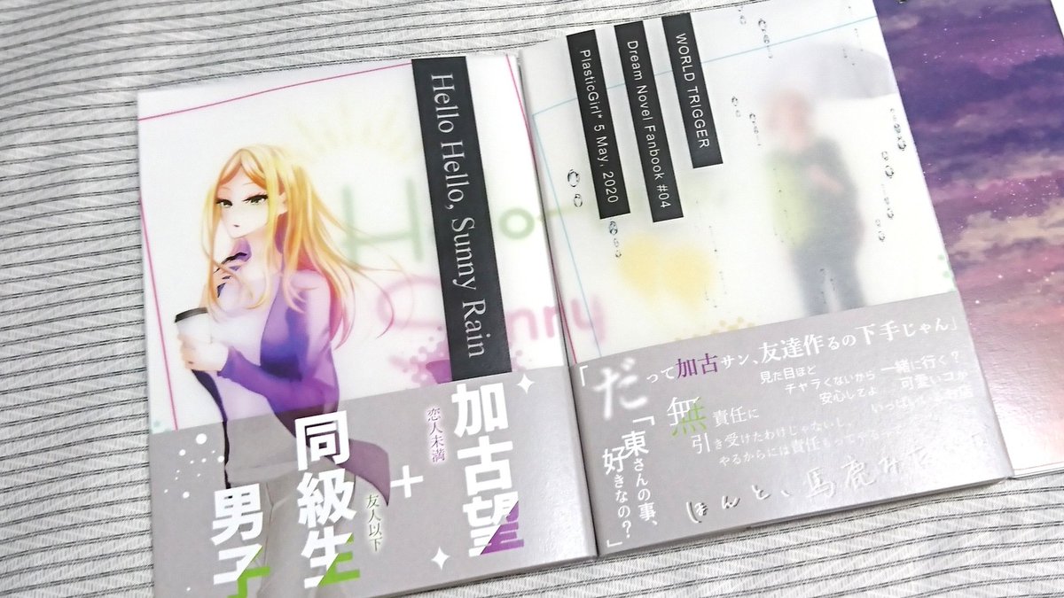 Plasticgirl 鷹宮エミコ 一太郎で 別シート使う以外に左右ページで背景画像別々に設定 する良い方法があれば教えて下さい