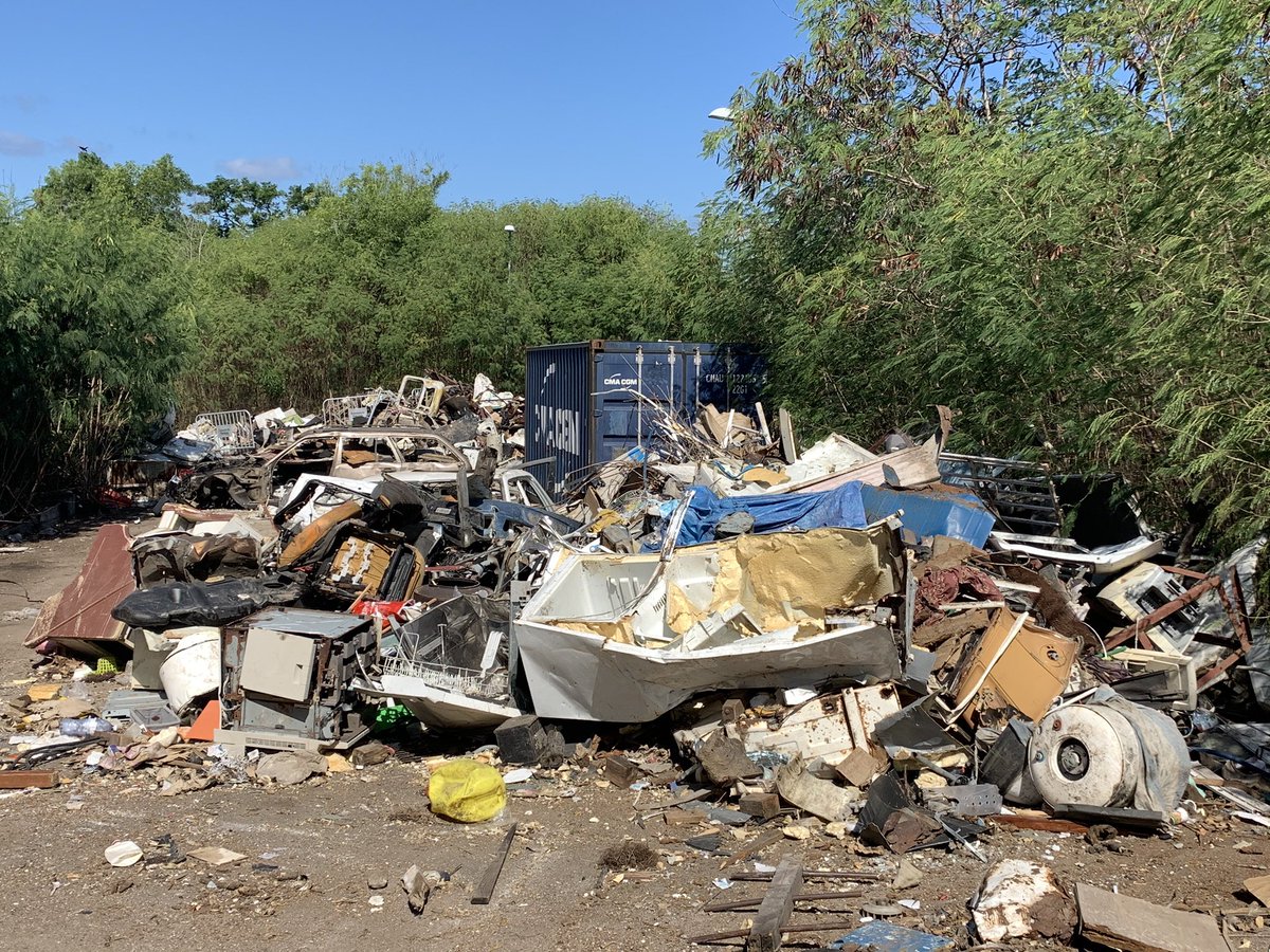 Gwegwar's tweet photo. Il y eut, paraît-il un paradis ici
Il n'en reste rien, c'est dans les livres qu'il survit
Voilà pourquoi l'argent tout le temps
Fait le pouvoir souvent conféré à ds incompétents
Il y eut la peste, le Sida frappe très fort
Mais la connerie humaine a toujours battu tous les records https://t.co/dZxpGjCz6S