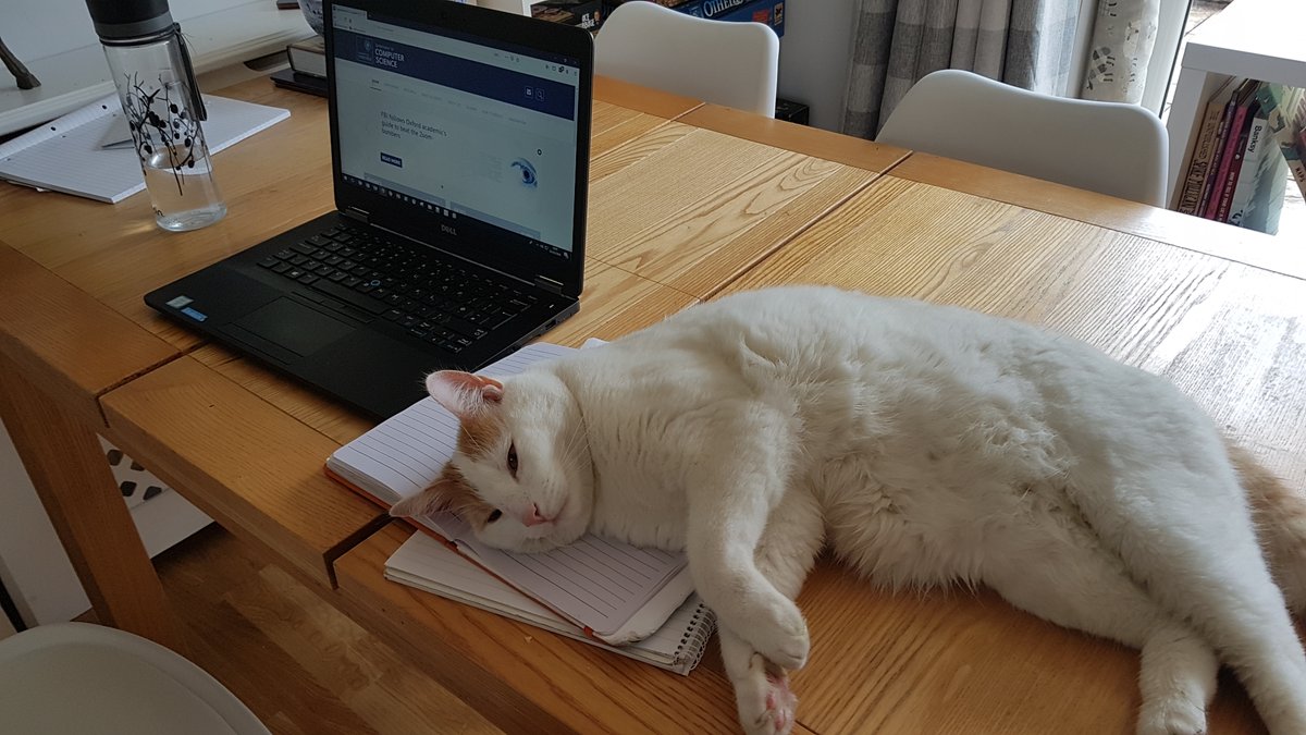 CompSciOxford's tweet photo. Arlo has taken his new role at the Department of Computer Science seriously, appointing himself as guardian of the paperwork. #WFHwithpets https://t.co/mJ0ZDfcMHG