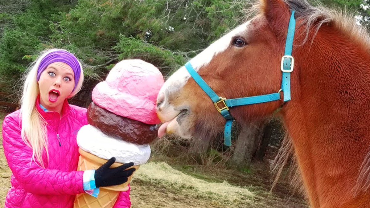 This is bonkers, I have no idea what it is all about, but it cheered my day up when I watched it. #horse #horsenation #horseslove #horsephoto #horselovers youtu.be/LEdz2WJYyUc