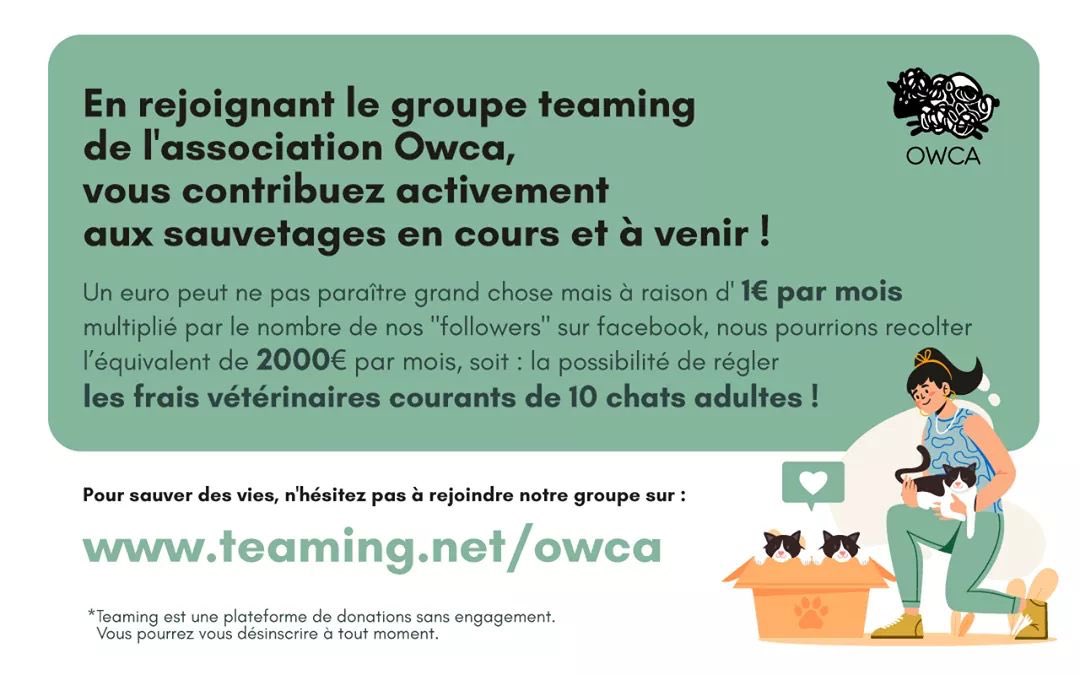 AssociationOwca's tweet photo. Malgré la situation actuelle, les sauvetages ne s'arrêtent pas : 1€ par mois peut faire toute la différence ❤️ 
#association #confinement #don #animaux #sauvetages https://t.co/TzTHlt70eR