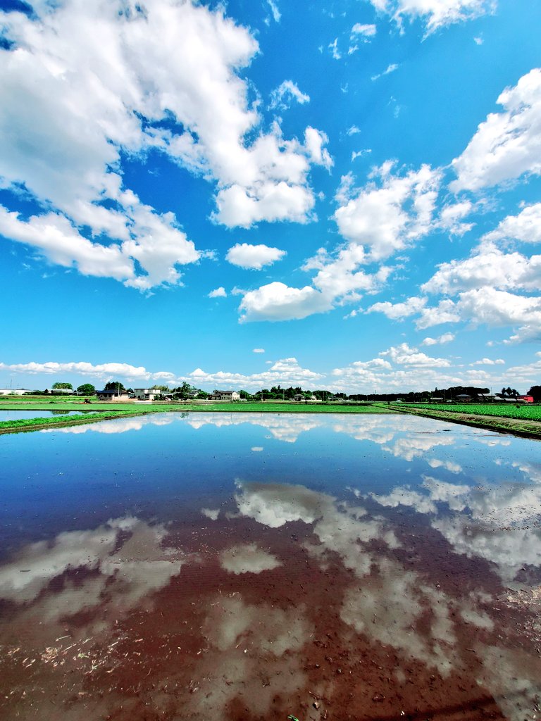 FulLmoNty_n's tweet image. いよいよ田植えの時期

#田work
#ファインダー越しの私の世界
#identitymemory