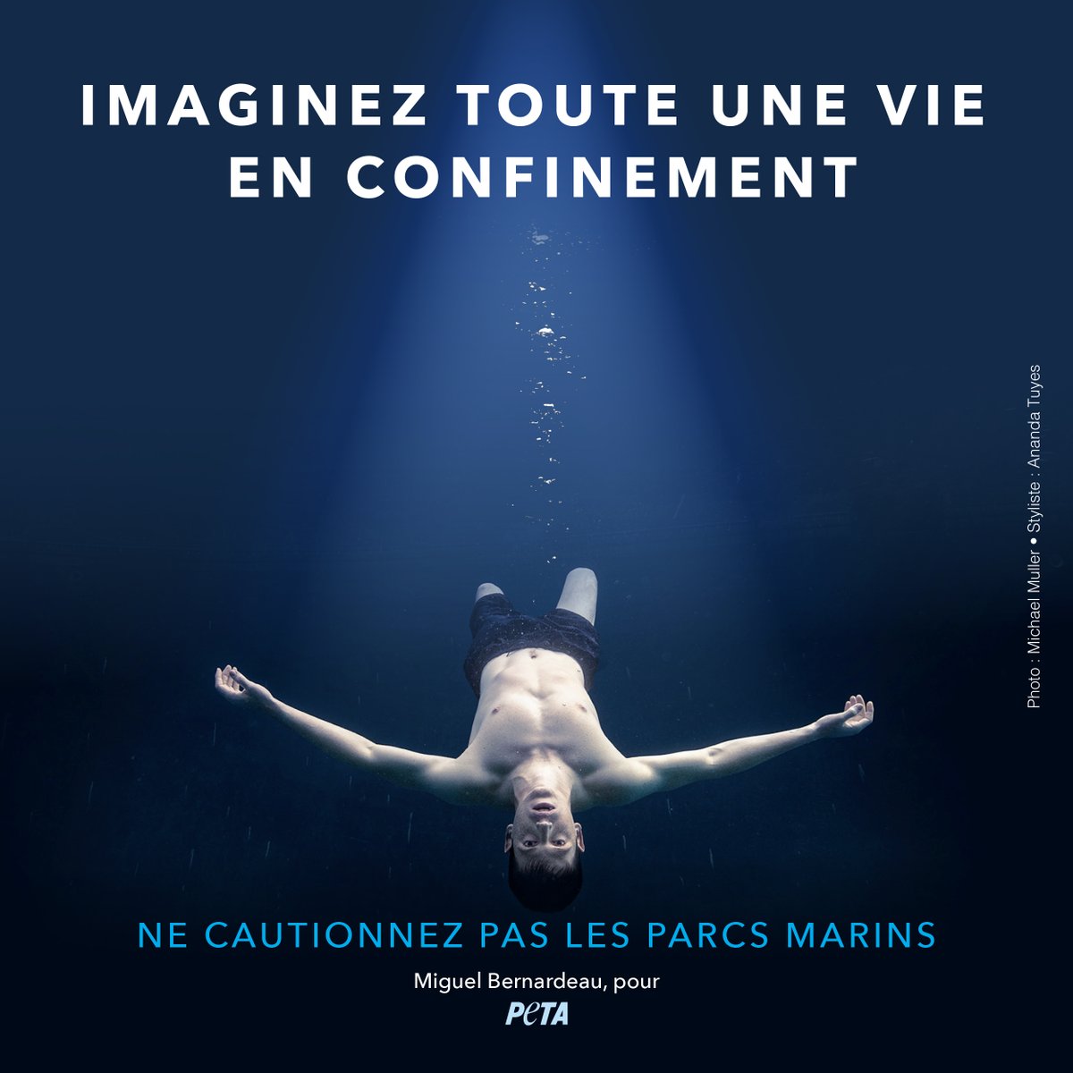 PETA_France tweet picture