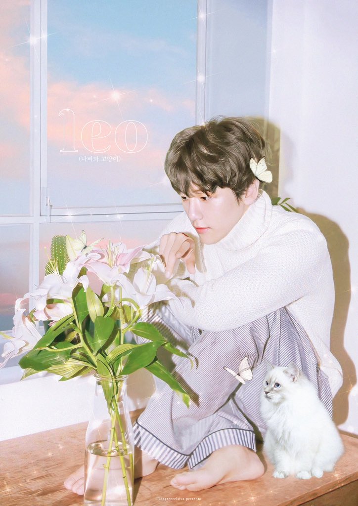 En sevdiğim iki şey bir arada. Kedi ve Baekhyun!

#나비와고양이_호아이팅 
#LEObyBOL4ftBBH 
#BOL4xBAEKHYUN