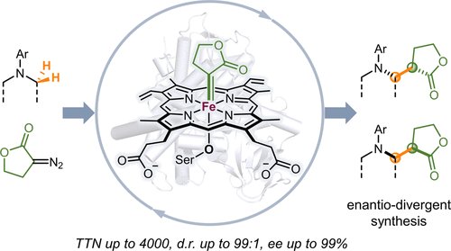 ACSCatalysis's tweet photo. Harnessing the powerful protein engineering strategy of directed evolution, the Arnold laboratory has endowed naturally-occurring proteins with new, synthetically useful C-H activation catalytic activities. https://t.co/9xmcbEyyTd @andrewzzhou5 @kaichen_1990 @francesarnold https://t.co/b5Rvyu6pLB