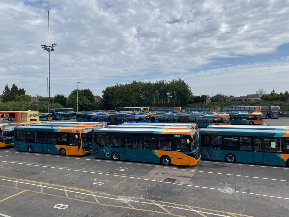 Gareth Stevens tweet media