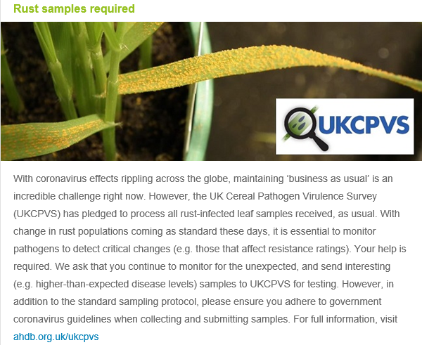 EnviroTeresa's tweet photo. The latest edition of @AHDB_Cereals Crop Research News was packed full of important and useful articles with reference to AHDB's research updates, monitoring tools, new app's and more. Snapshot below. DM me for the full edition or sign up here: https://t.co/kJyJFLMonG #yourlevy https://t.co/baL4BZ5JgP